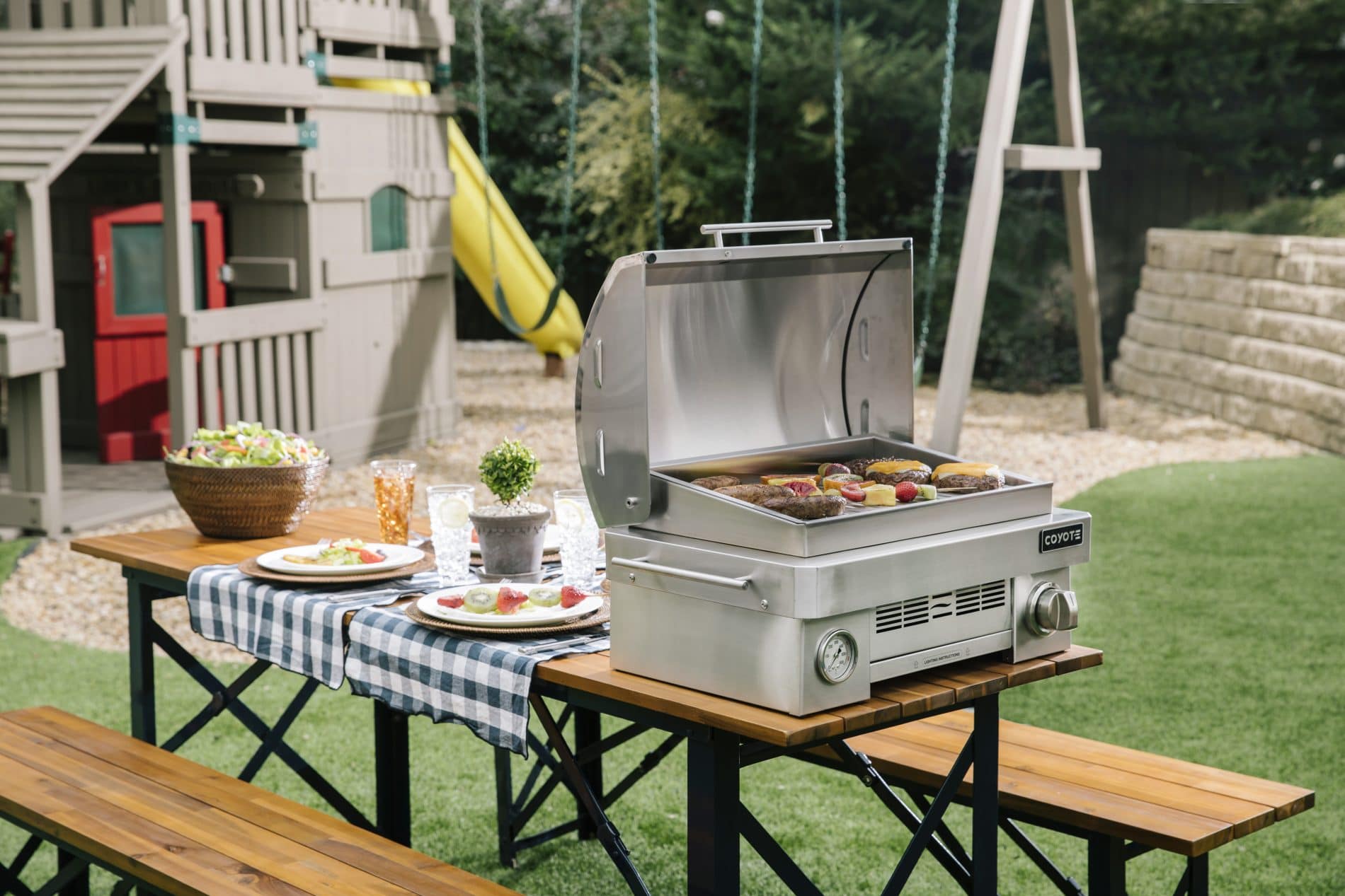 25 Propane Portable Grill Great For Road Trips & Tailgating