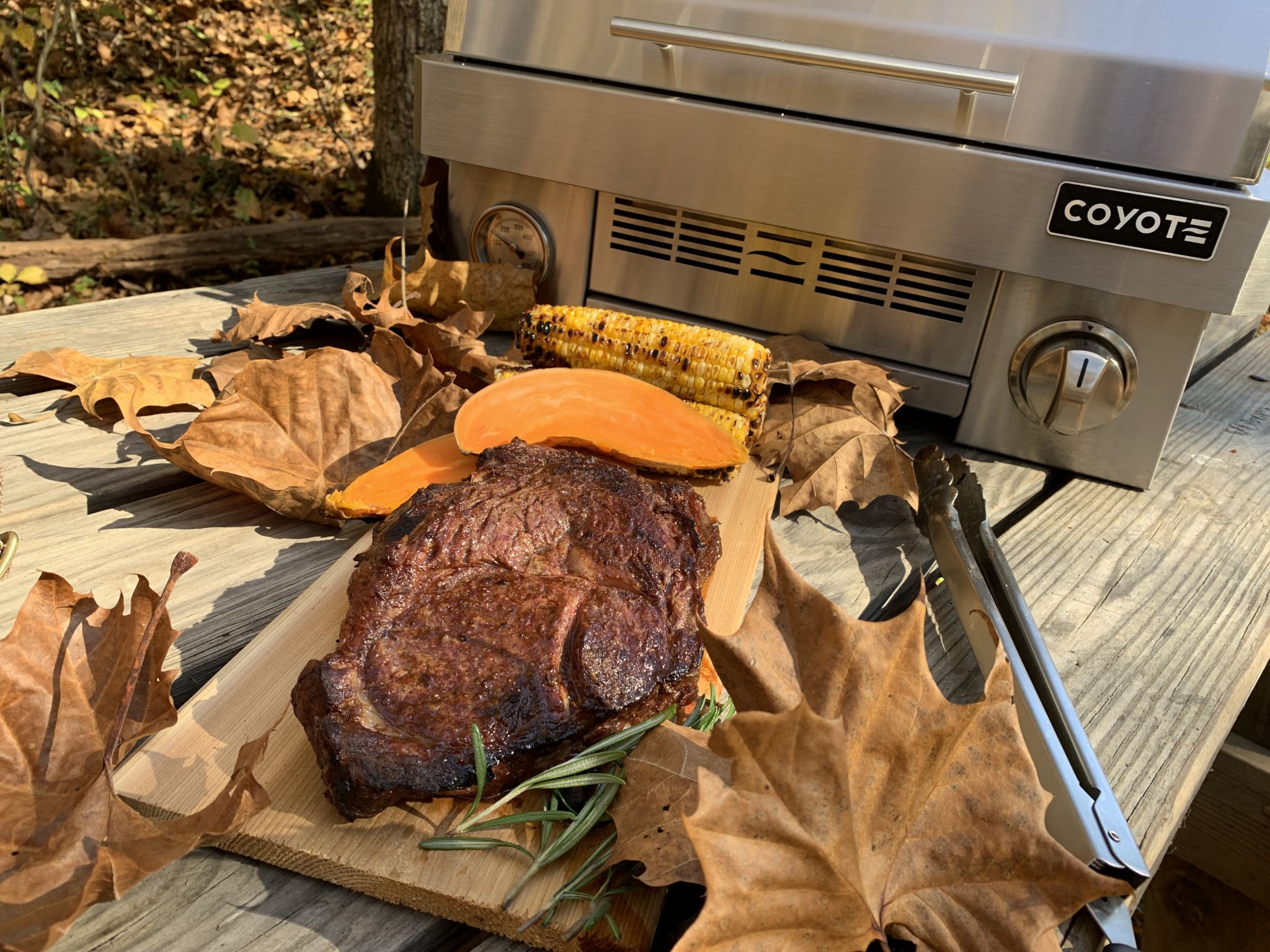 Steak and Vegetables Beside Coyote Portable Grill