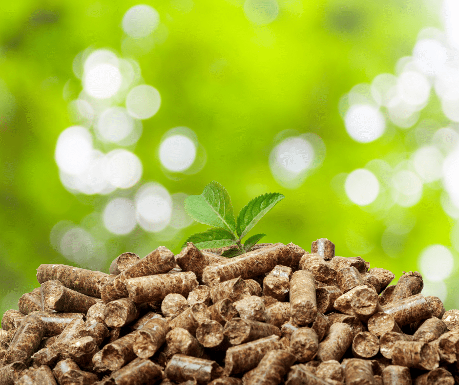Pellet Power: Unveiling the Versatility and Eco-Friendly Benefits
